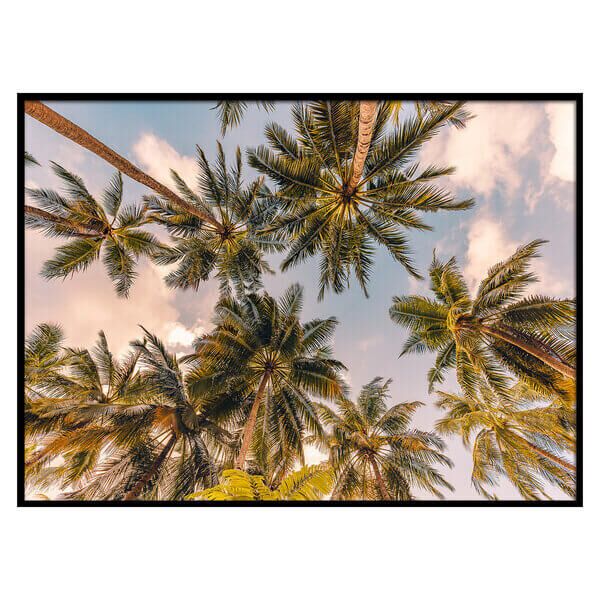 Slika Bianca 50x70 (166938DIS) - Image 2