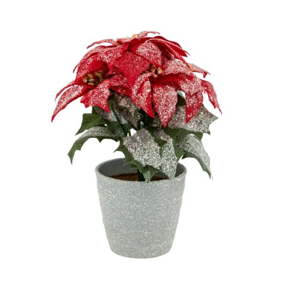 Božićno drvo u saksiji 22 cm (169997)