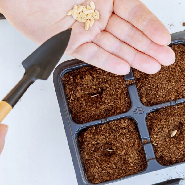 Set baštenskog alata 3 kom (PERGN0303) - Image 2