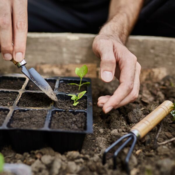 Set baštenskog alata 3 kom (PERGN0303) - Image 3