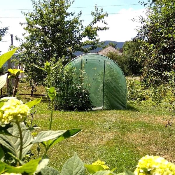 Baštenski plastenik 8x3 m zeleni (TUN5620) - Image 3