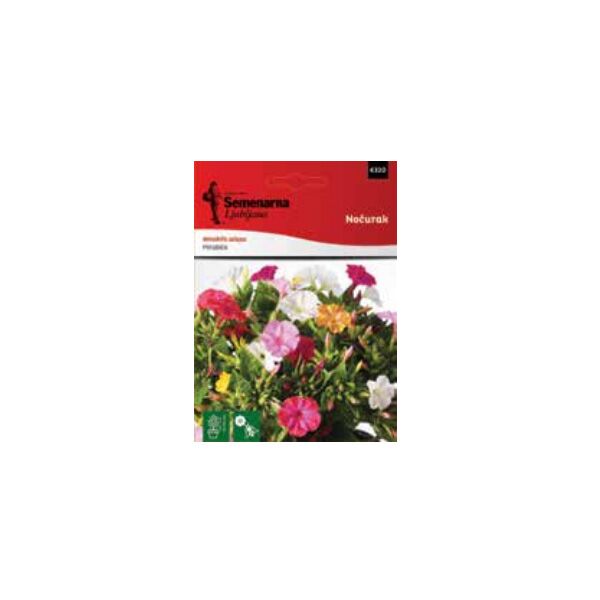 Seme biljke noćurak (070577)