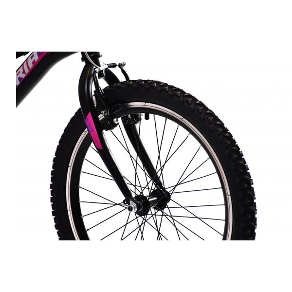 Capriolo Bicikl Stinger 20/7 HT crno ljubičasto (925179-11) - Image 3