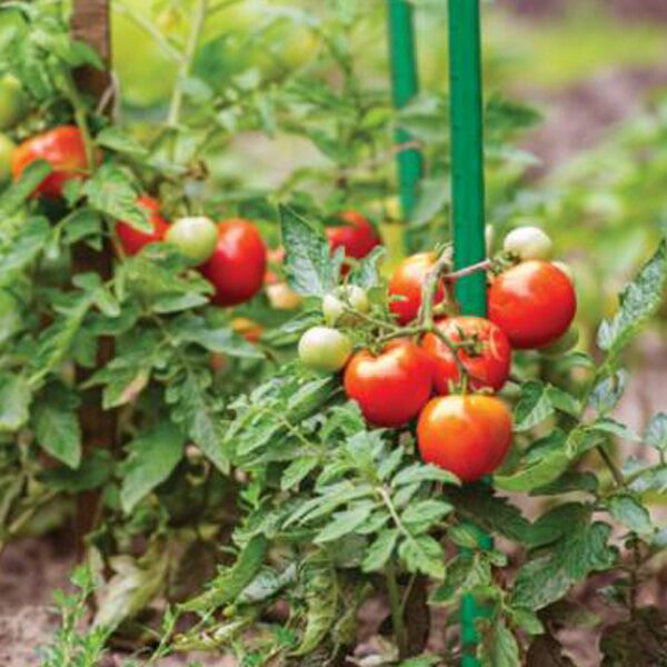 Plastični štap FI16mm H200cm (DEN2562) - Image 2