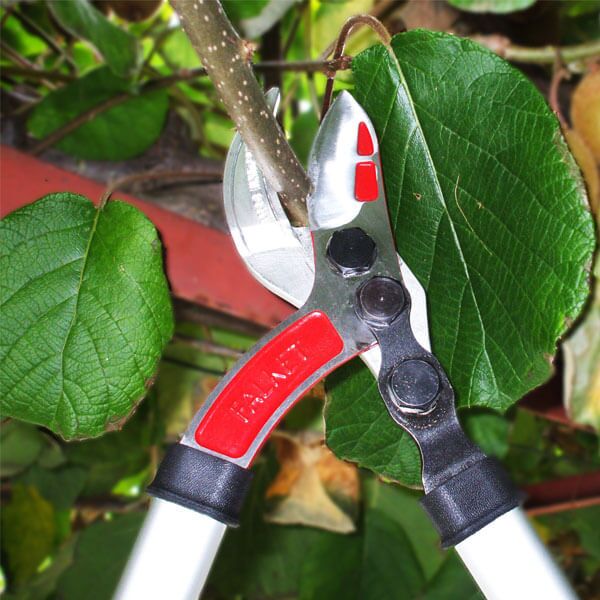 Falket makaze za grane 8066 (037992) - Image 2