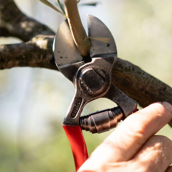 Falket voćarske makaze 2100 (037995) - Image 2