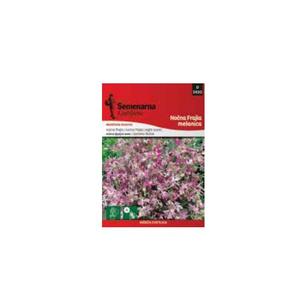 Noćna frajla (070573)