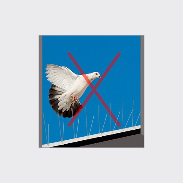 Žice protiv ptica 50cm (0036CL) - Image 2