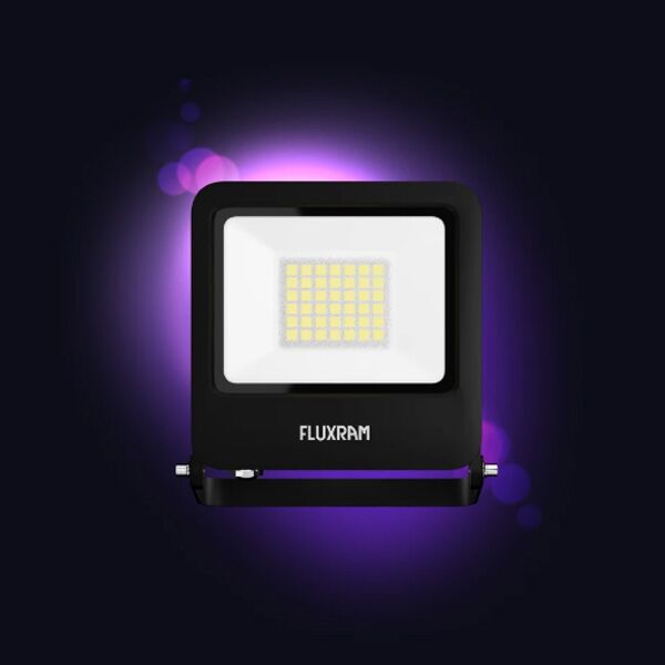 Wise LED Reflektor 30W 6000K IP65 (546890)