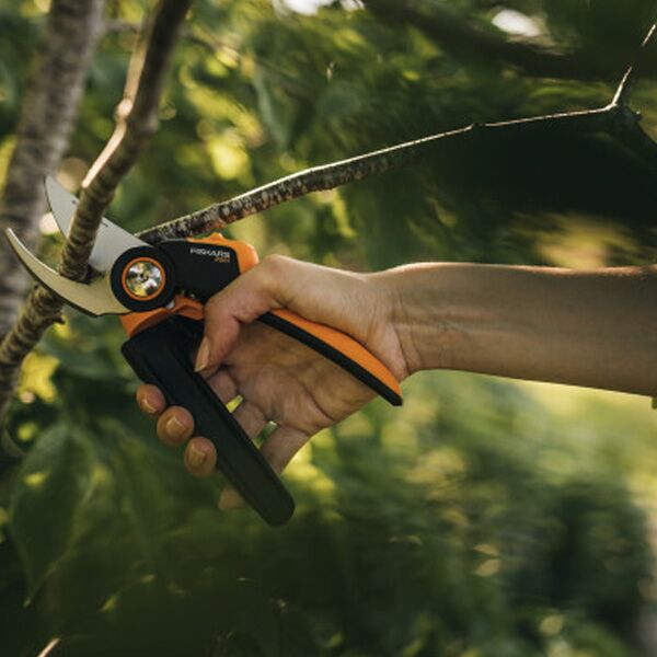 Makaze za orezivanje voćarske 1057175 (069956) - Image 2