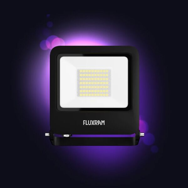 Wise LED Reflektor 50W 6000K IP65 (546891)